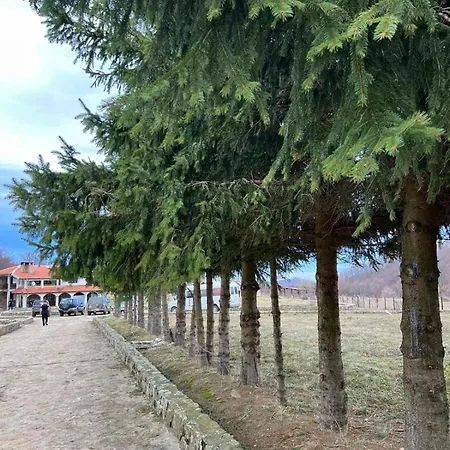 чемерникъ Gabrovnitsa (Sofia)