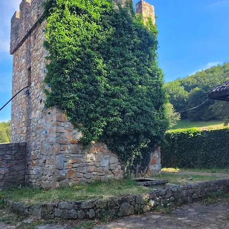 чемерникъ *