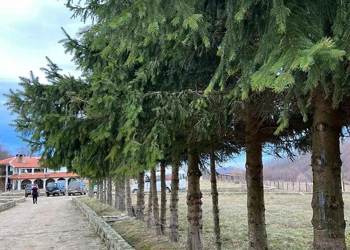 чемерникъ Gabrovnitsa (Sofia)