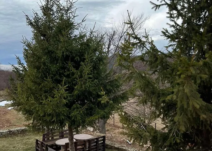 Casa de hóspedes чемерникъ *