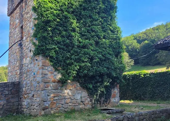 чемерникъ *